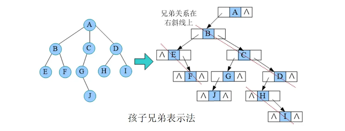 孩子兄弟表示法